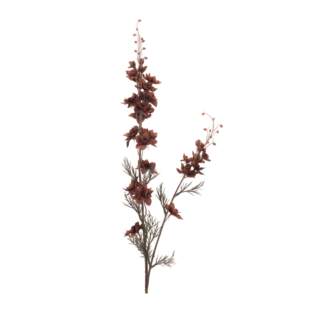 Larkspur Spray