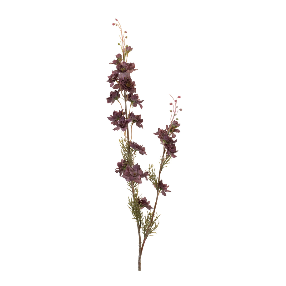 Larkspur Spray
