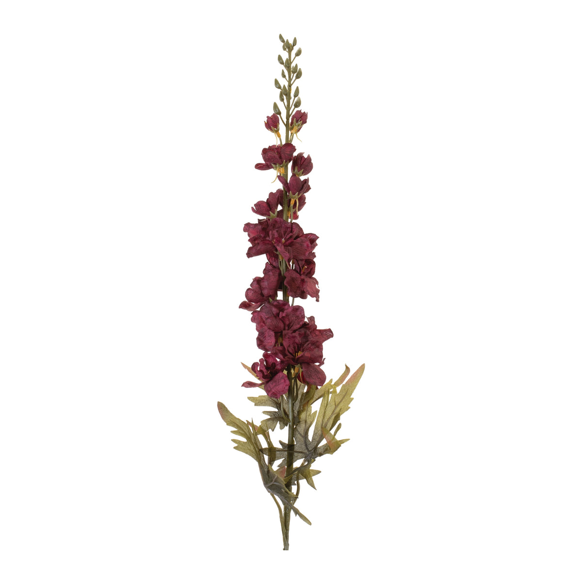 Delphinium Stem