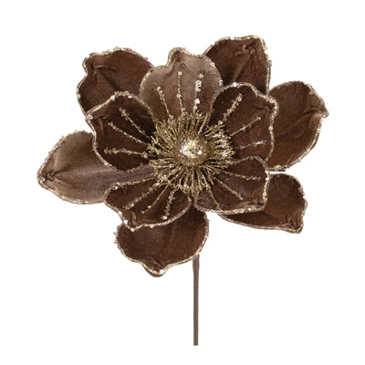 Magnolia Stem