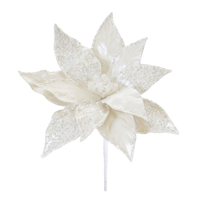 Poinsettia Stem