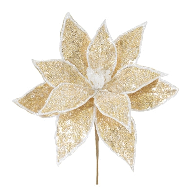Poinsettia Stem