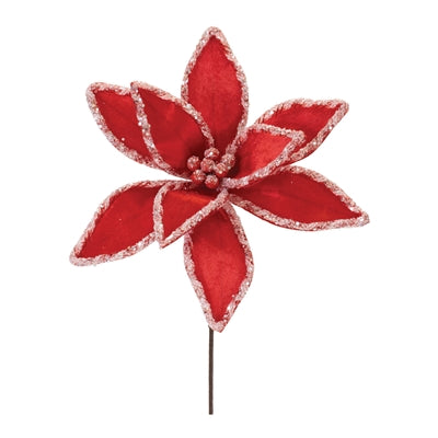 Poinsettia Stem
