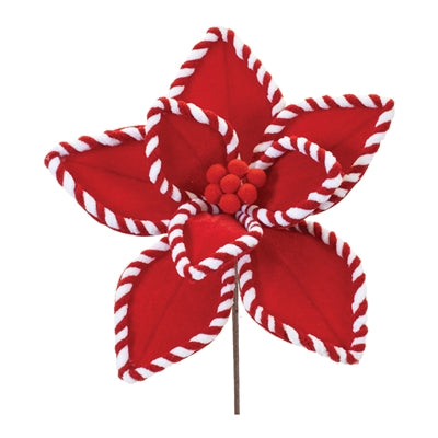 Poinsettia Stem
