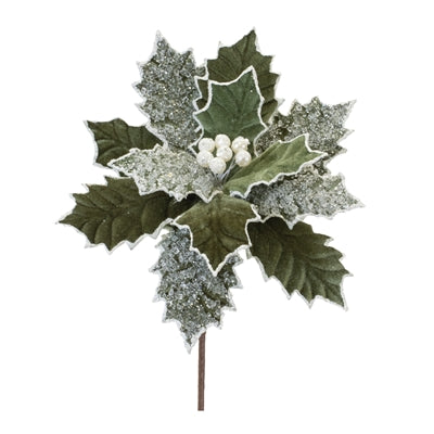 Poinsettia Stem