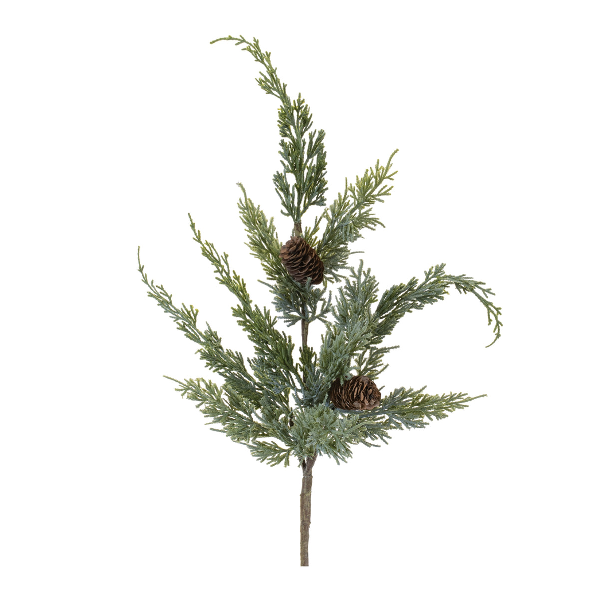 Pine Spray