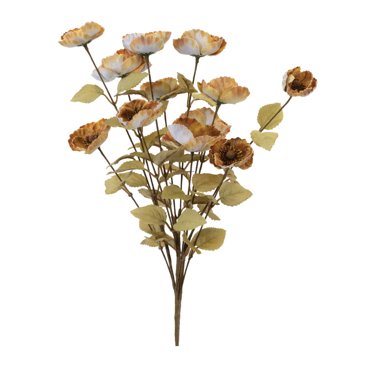 Anemone Spray