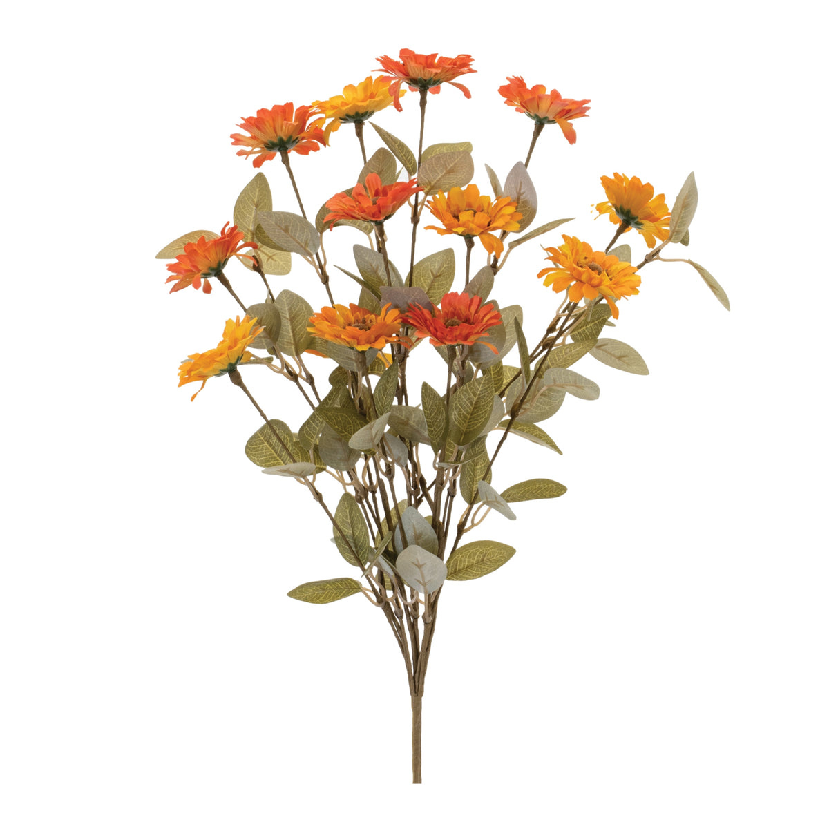Gerbera Daisy Bush