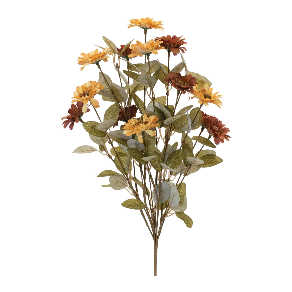 Gerbera Daisy Bush
