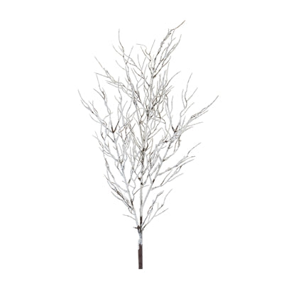 Snowy Branch