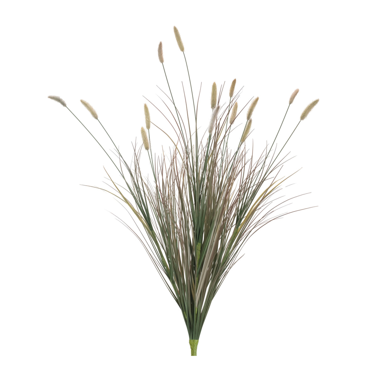 Fall Grass Bush