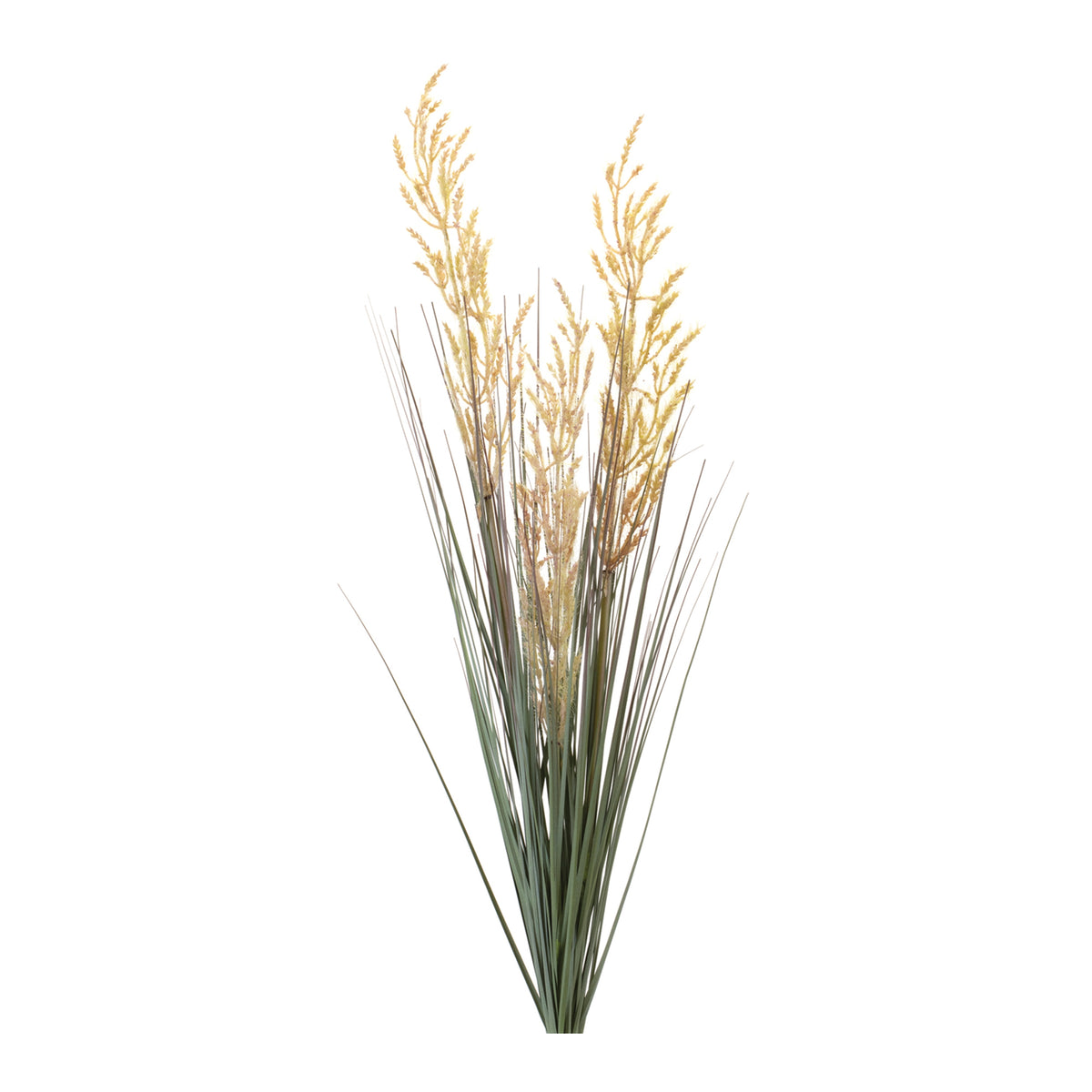Fall Grass Bush