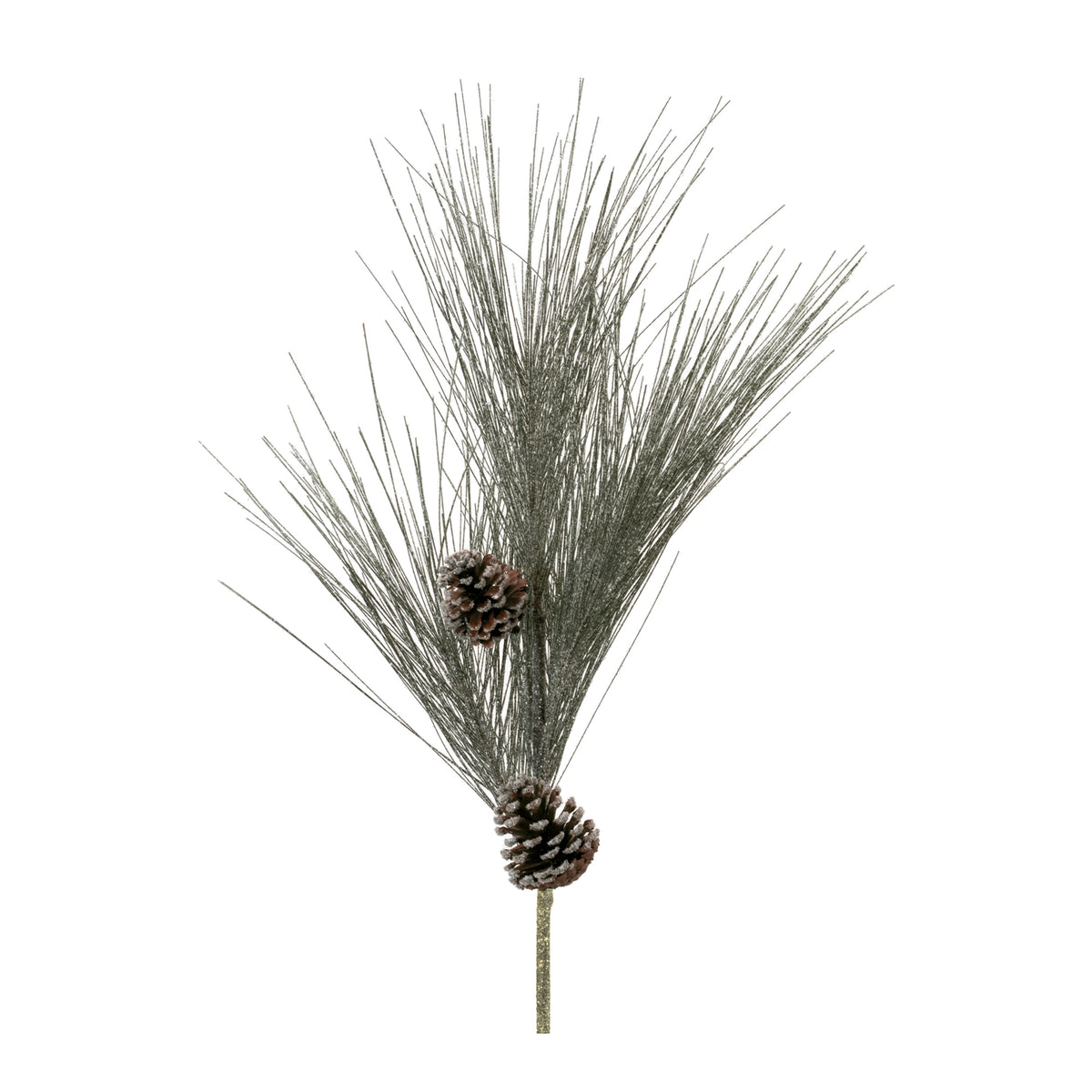 Long Needle Pine Stem