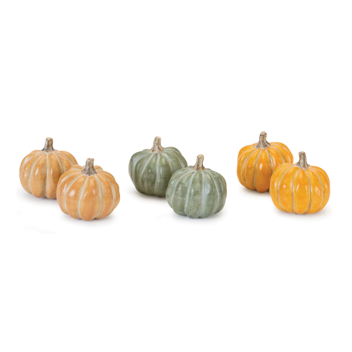 Pumpkin (Box of 6)