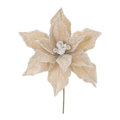 Poinsettia Stem