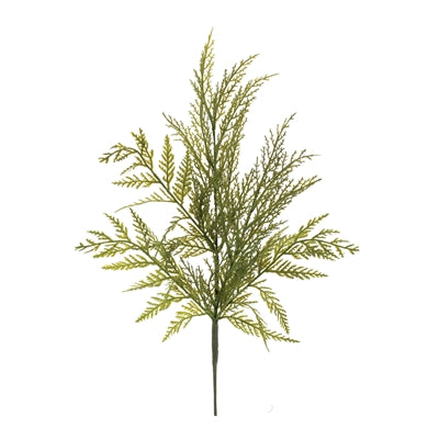 Cedar Spray