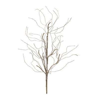 Twig Branch