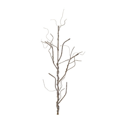 Twig Branch