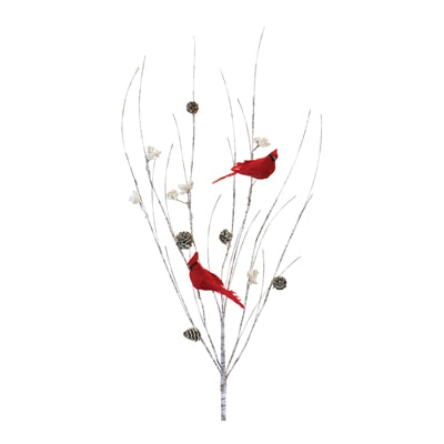 Branch w/Cardinals