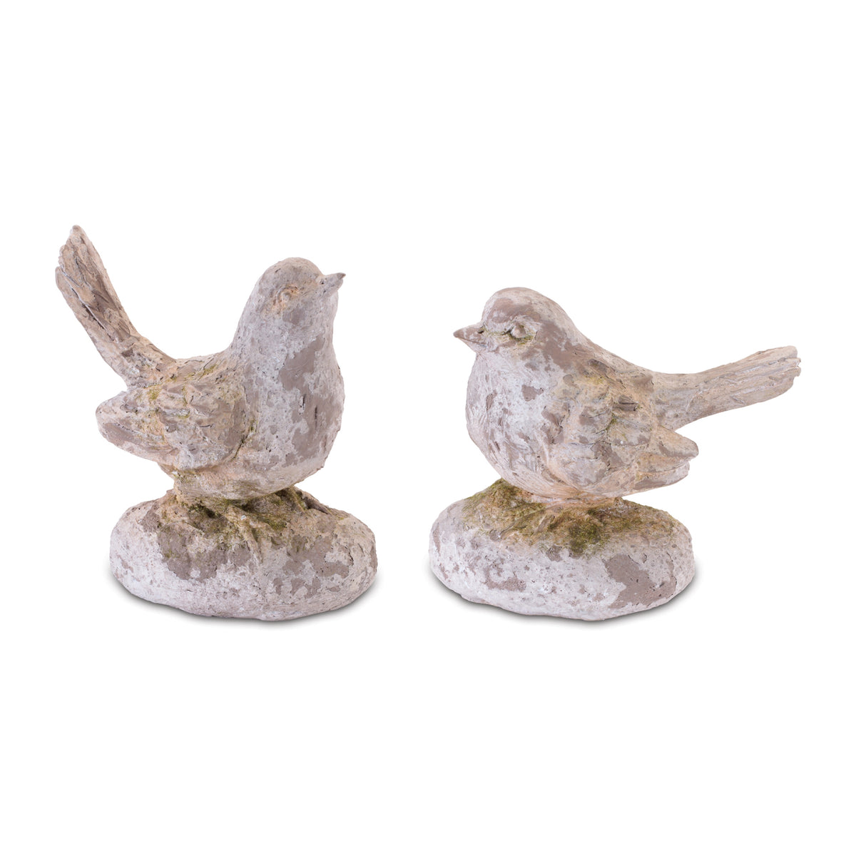 Bird (S/2)