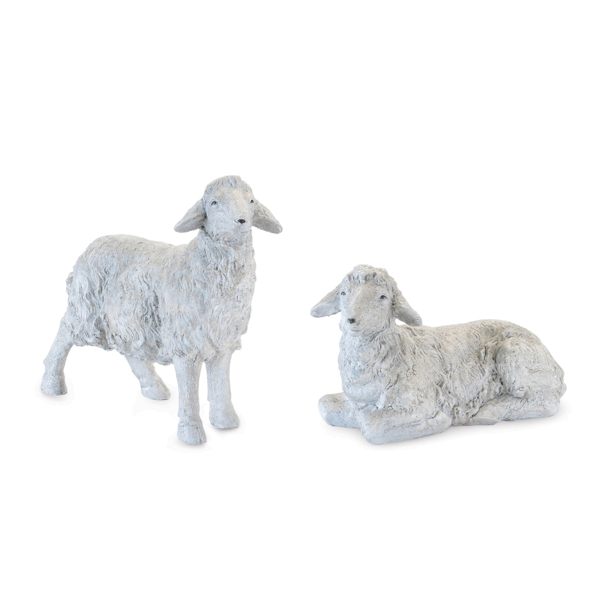 Sheep (S/2)