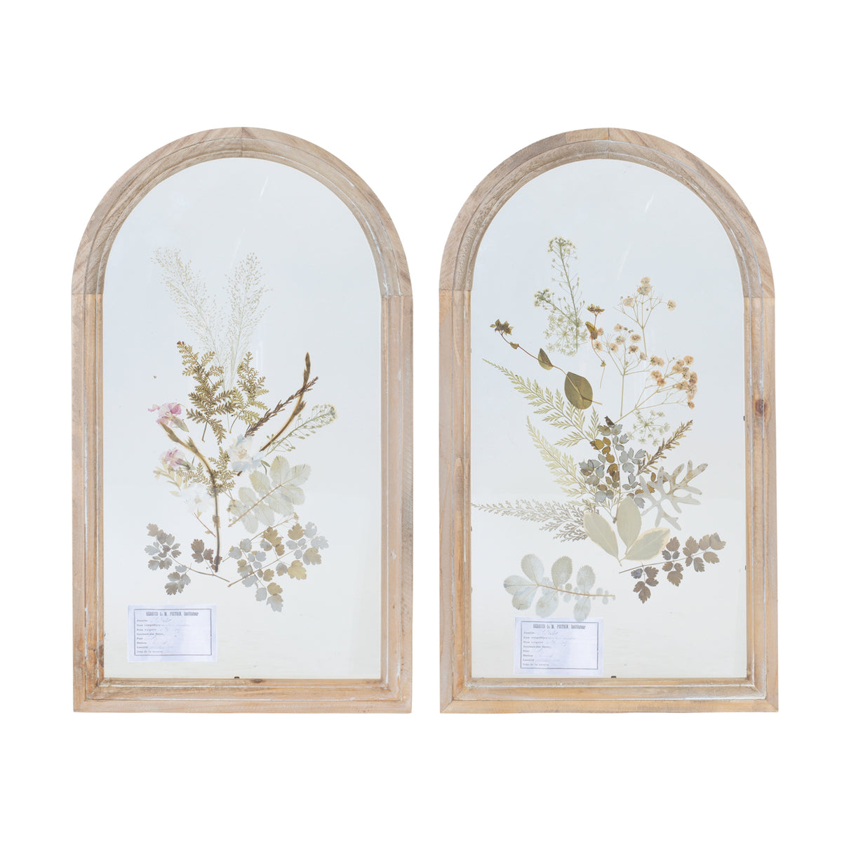 Dried Floral Wall Plaque (S/2)