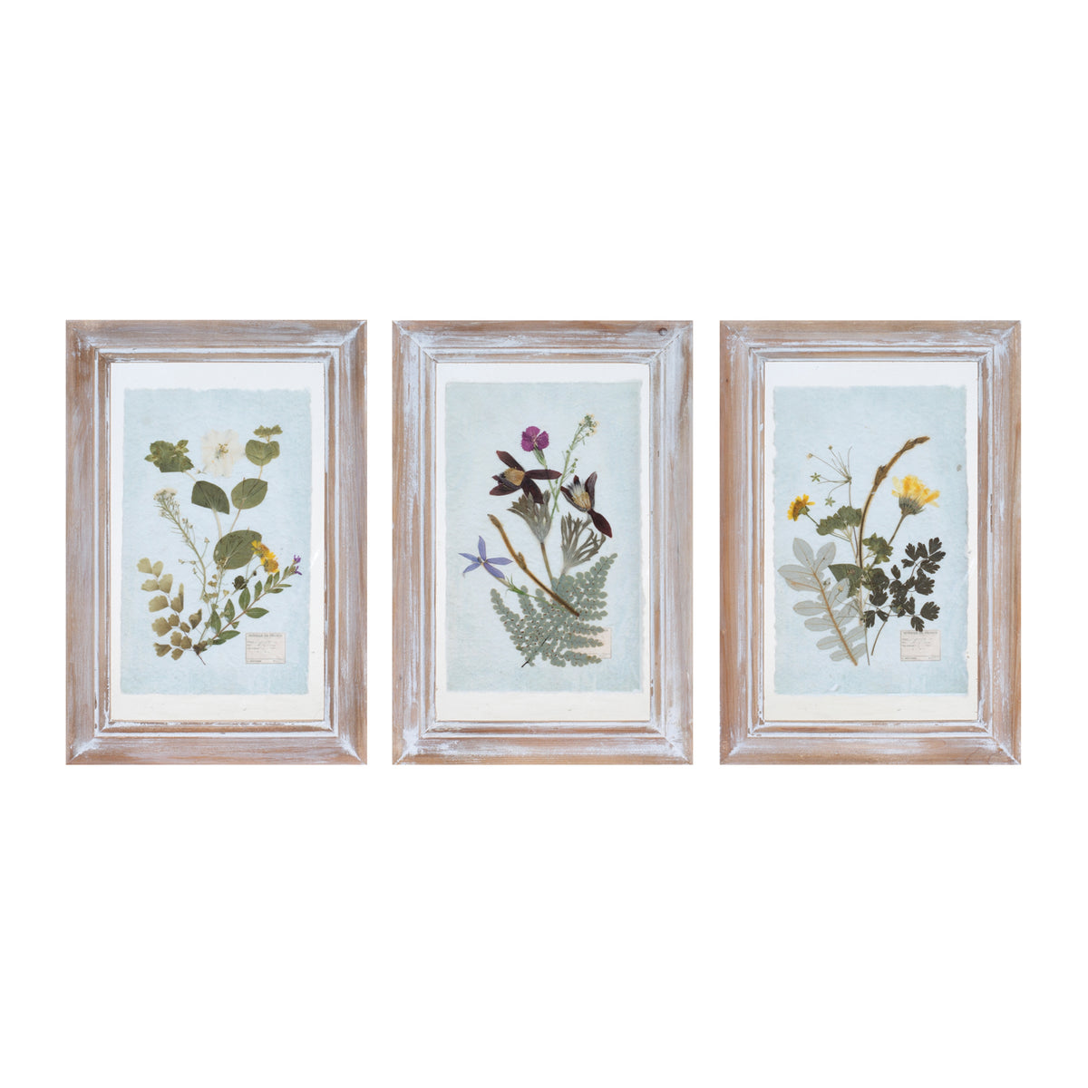 Dried Floral Frame (S/3)