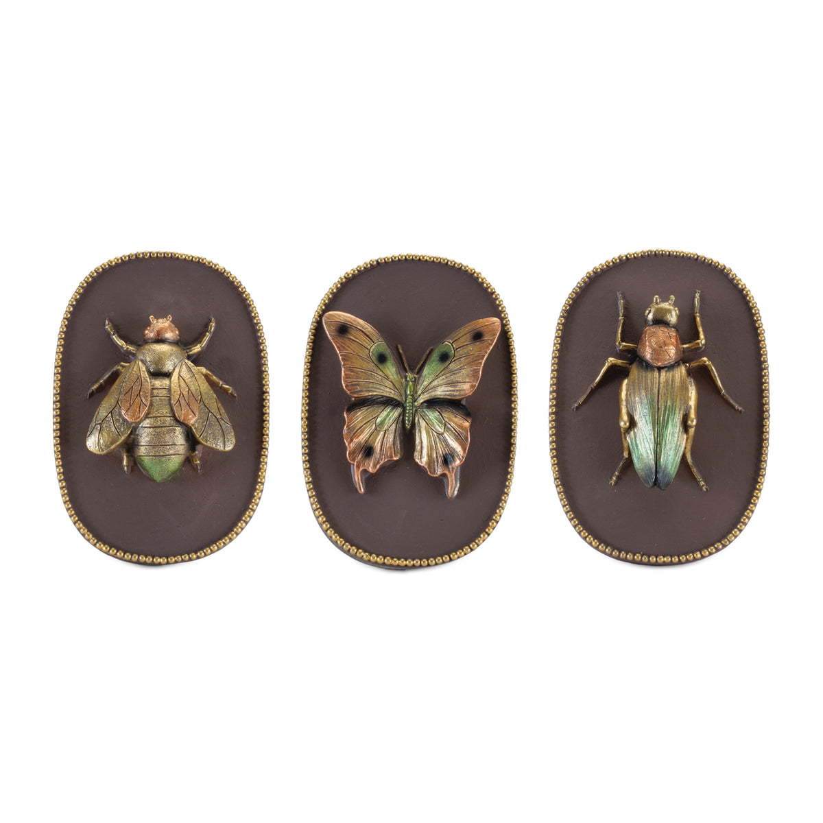 Insect Plaque (S/3)