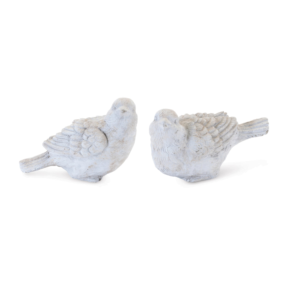 Bird (S/2)