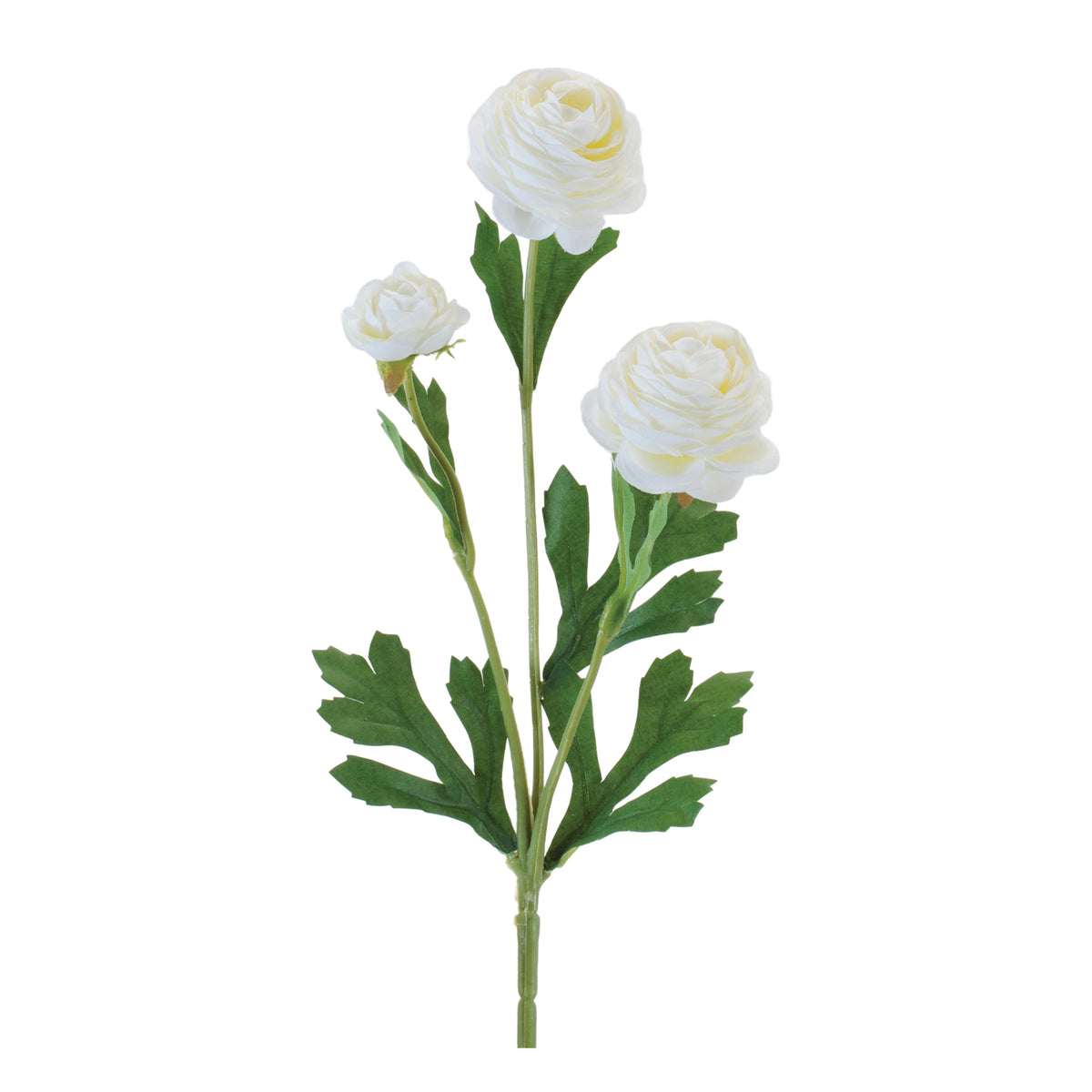 Ranunculus Spray