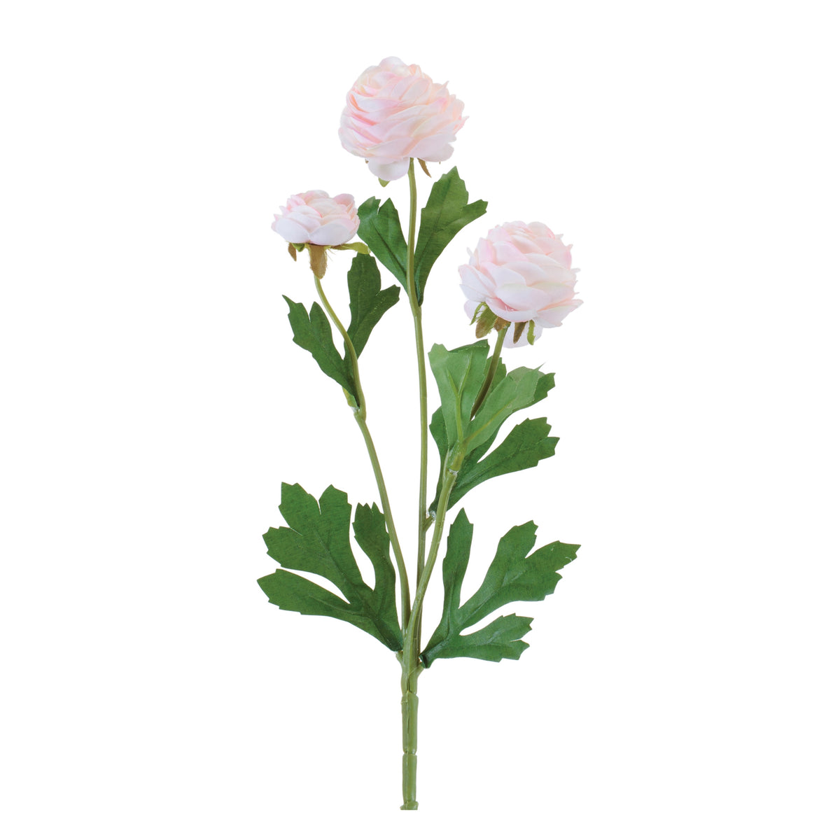 Ranunculus Spray