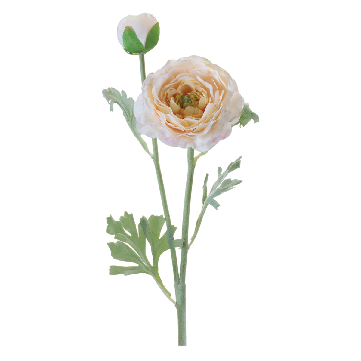Ranunculus Spray
