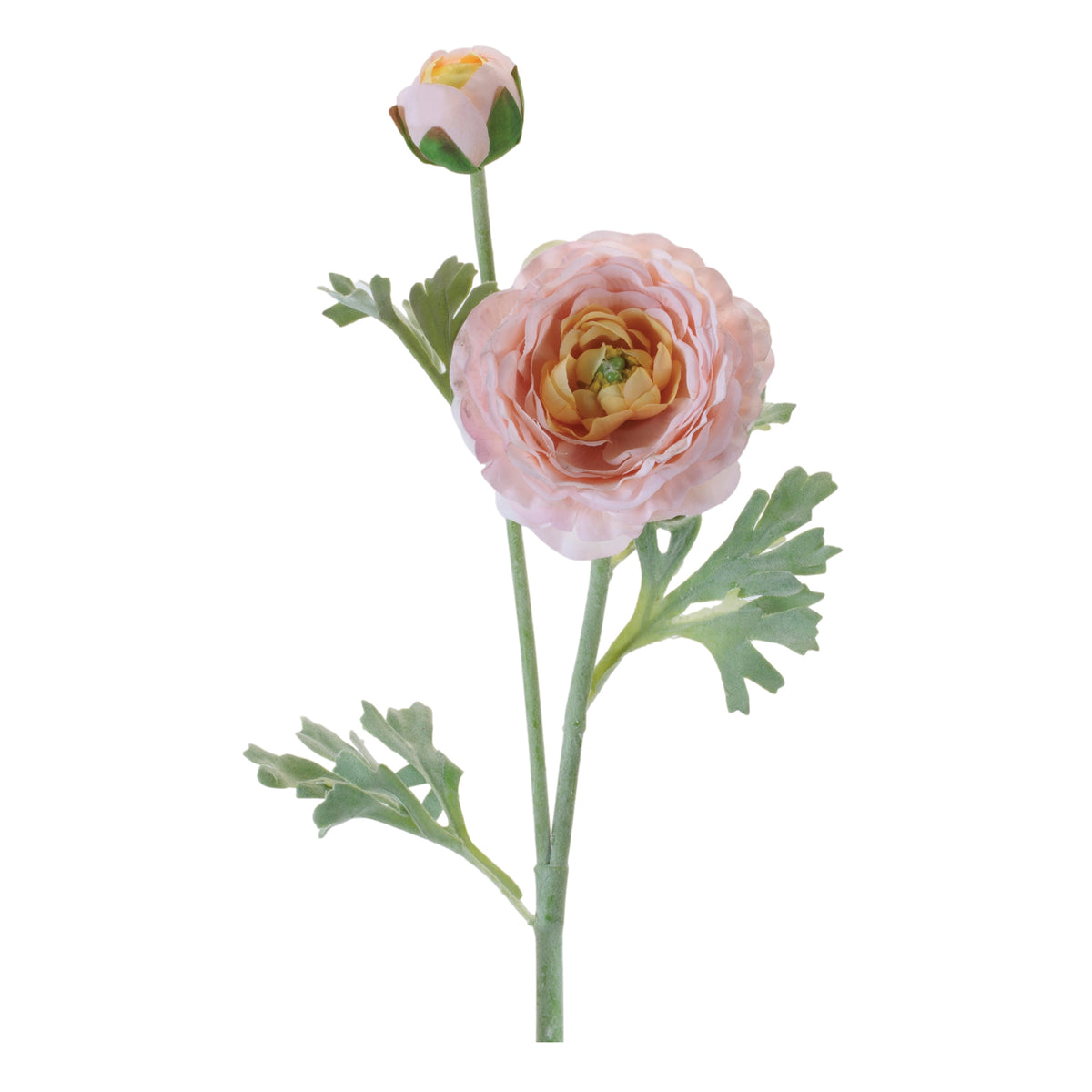 Ranunculus Spray