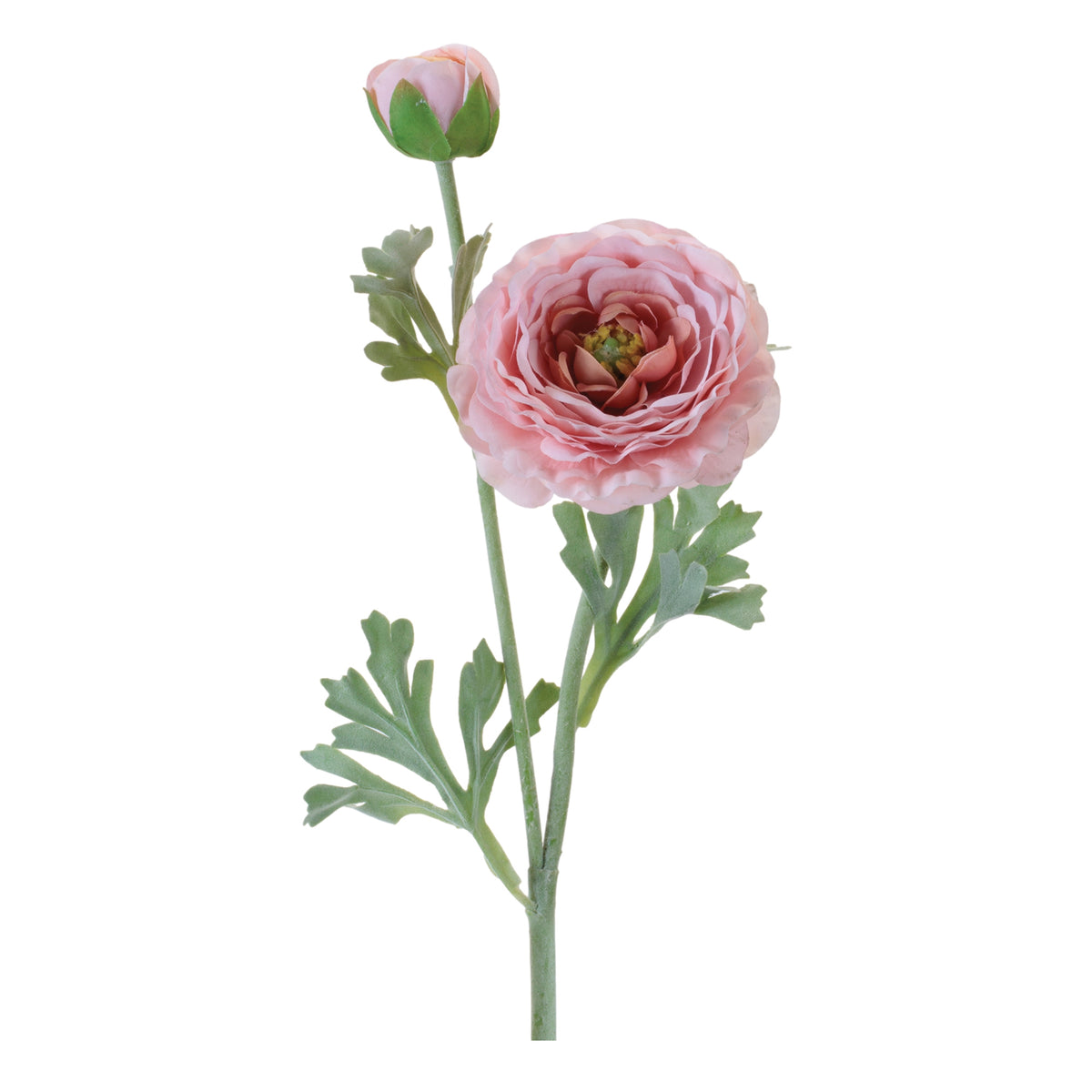 Ranunculus Spray