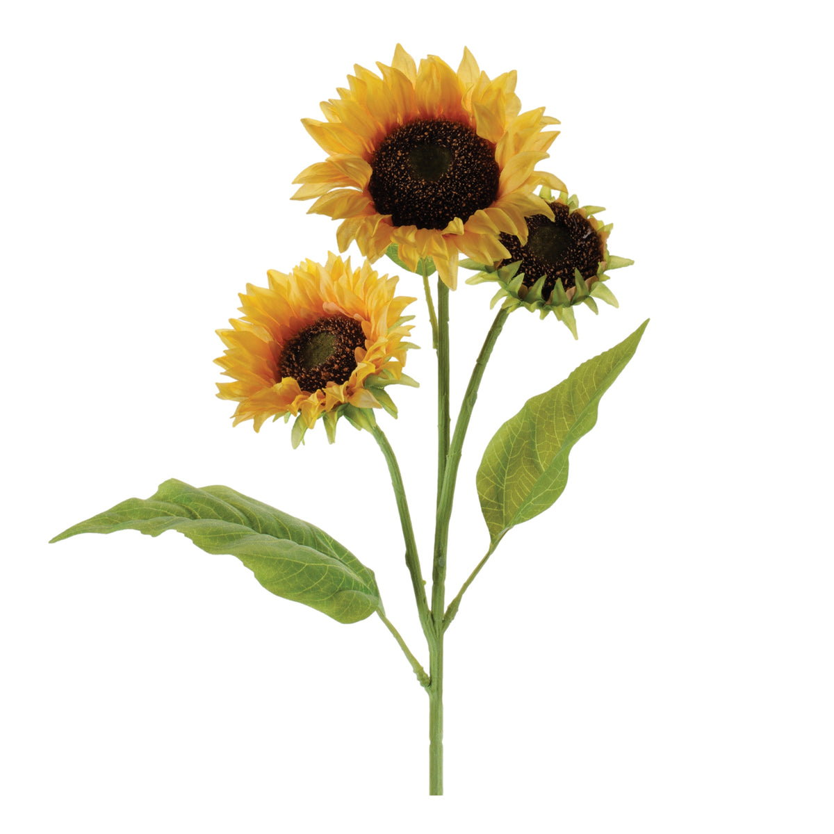 Triple Sunflower Stem