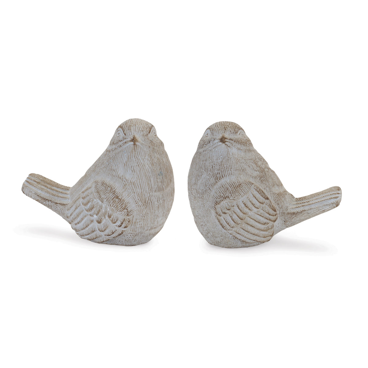 Bird (S/2)