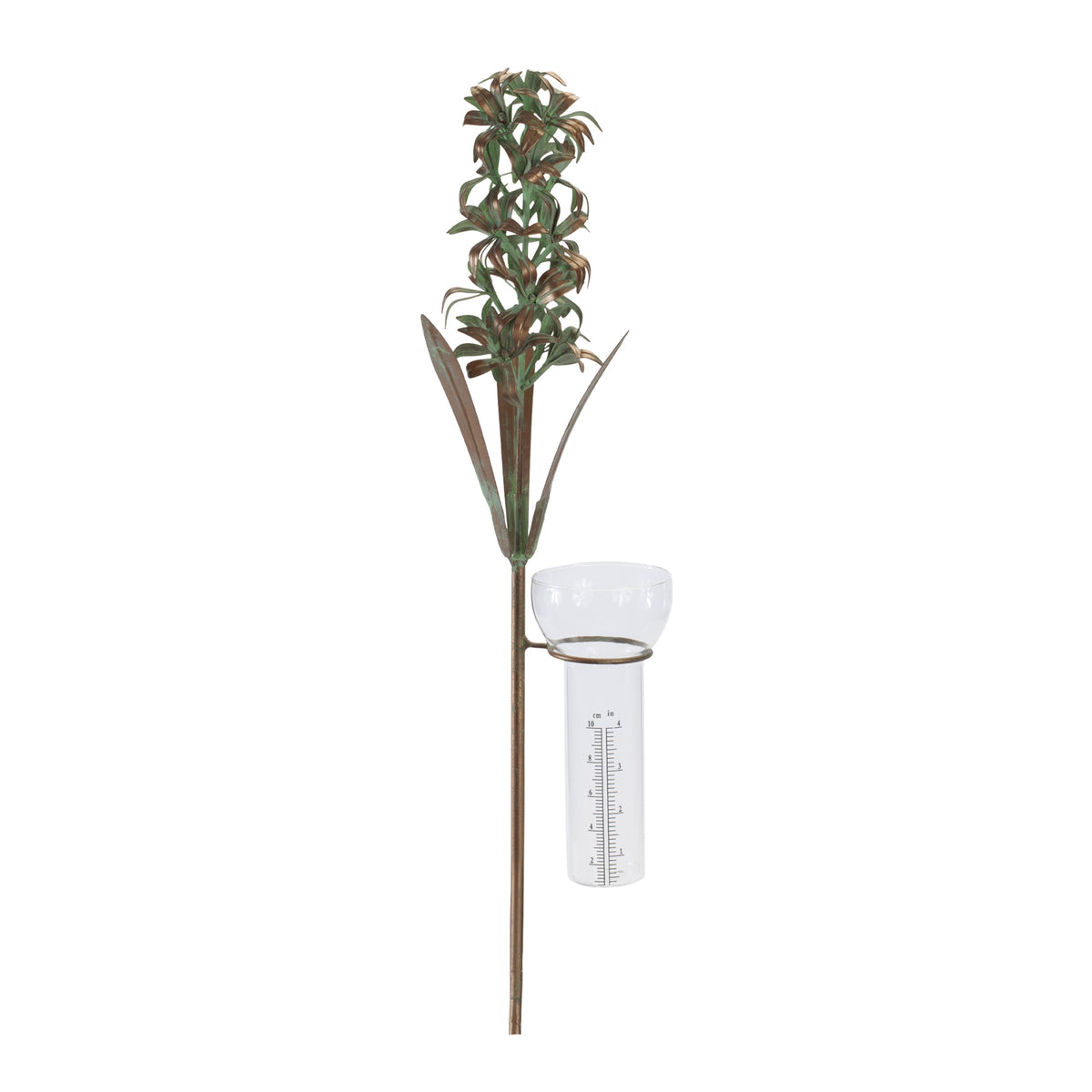 Hyacinth Rain Guage