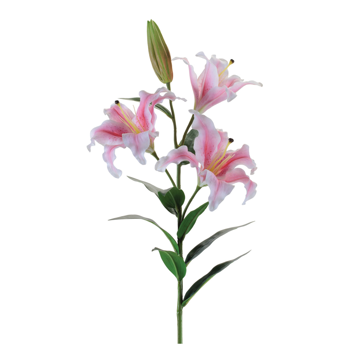 Lily Spray