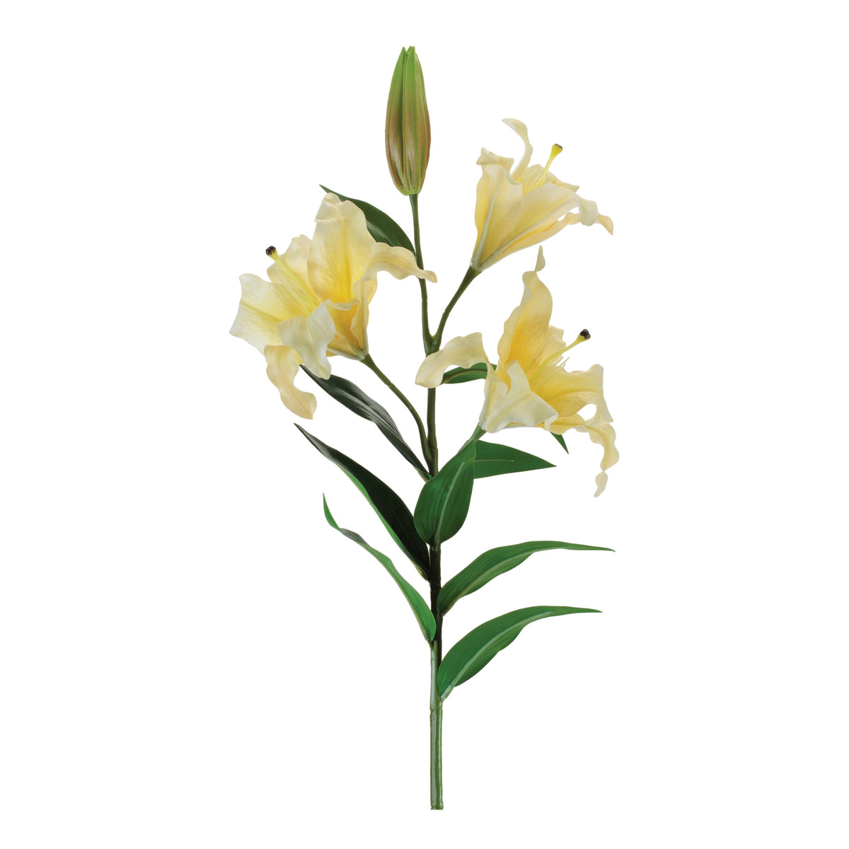 Lily Spray