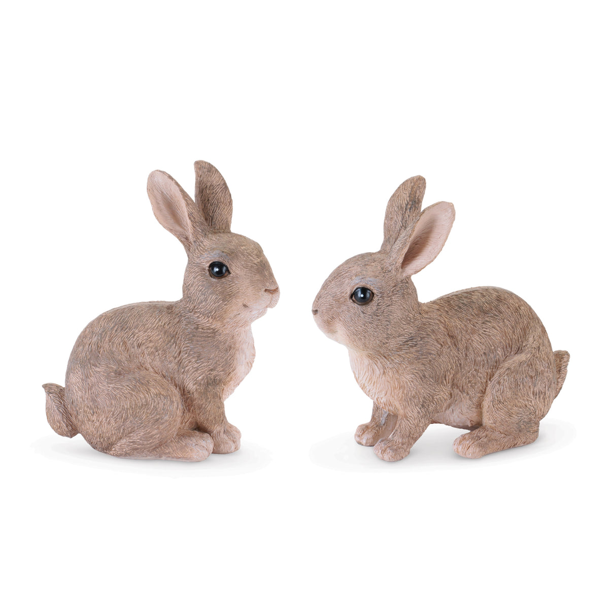 Rabbit (S/2)