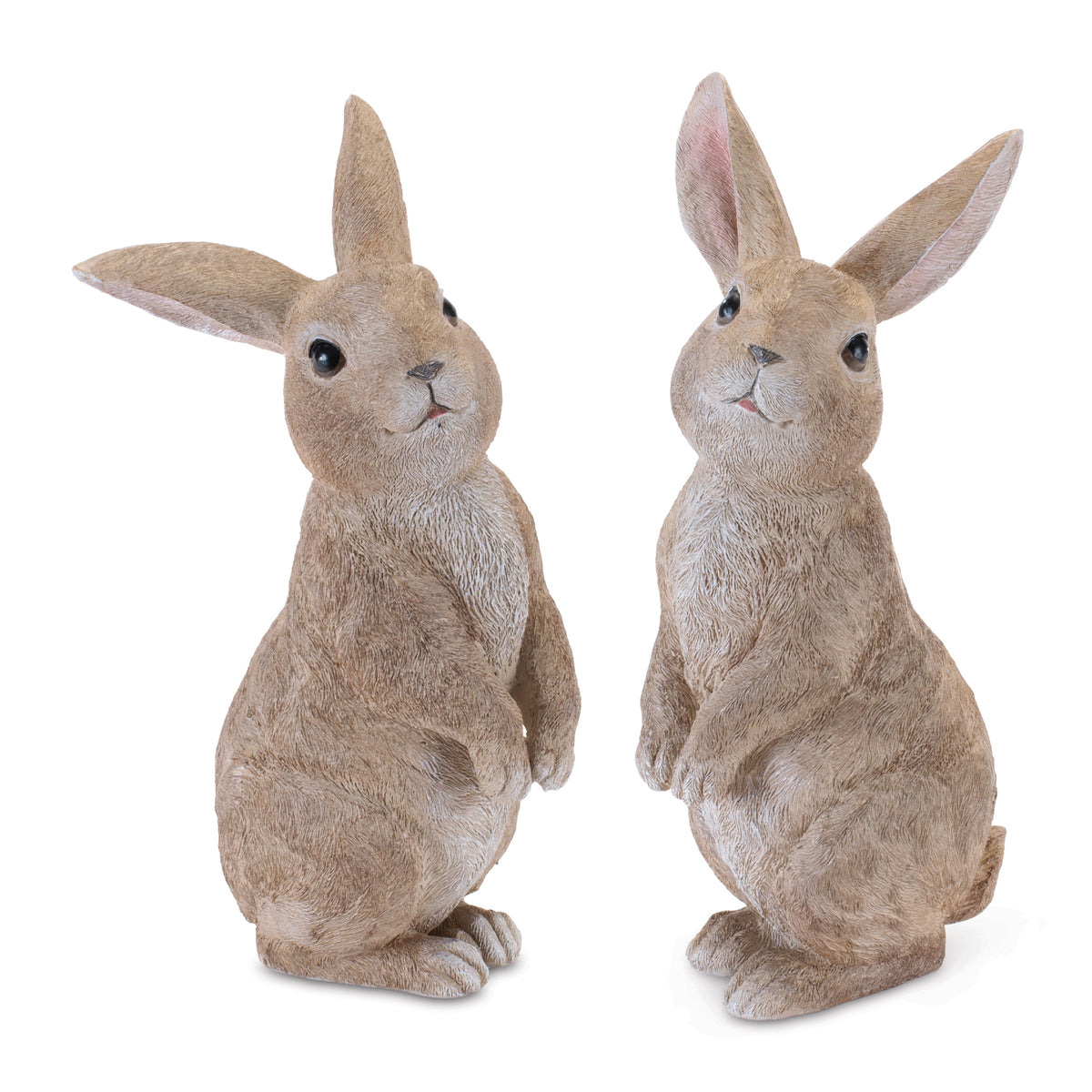 Rabbit (S/2)