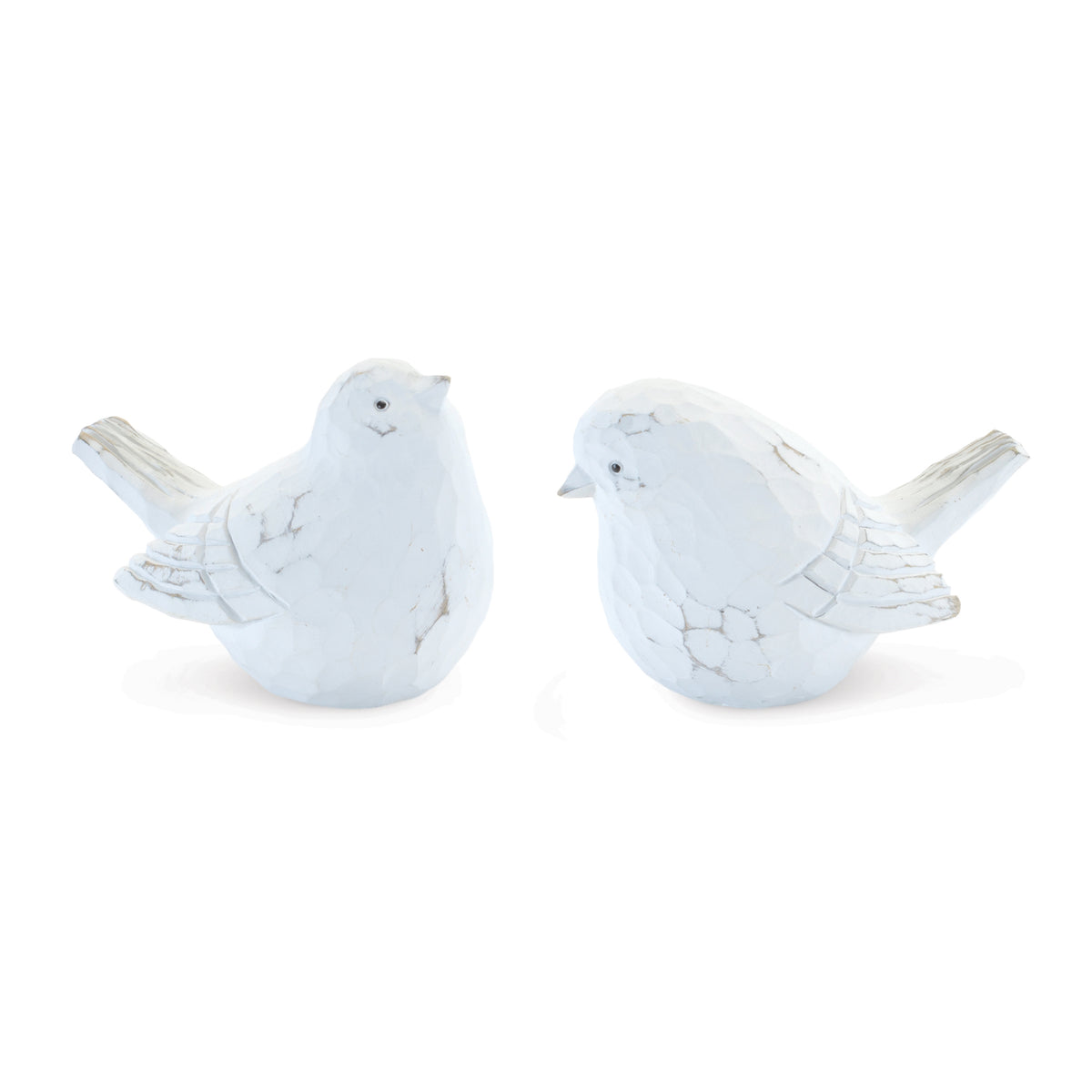 Bird (S/2)