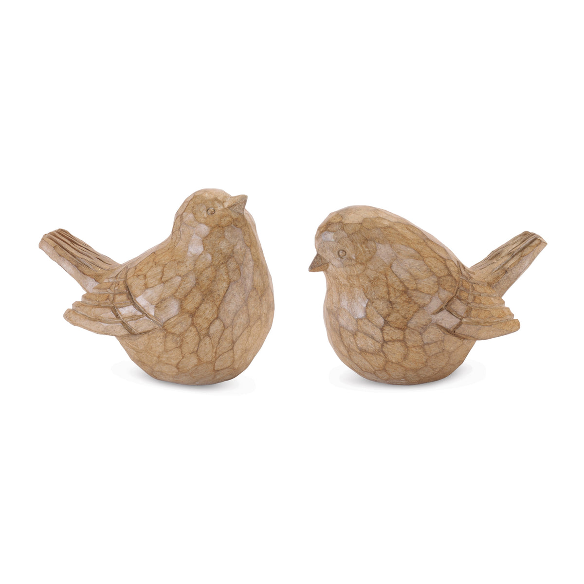 Bird (S/2)