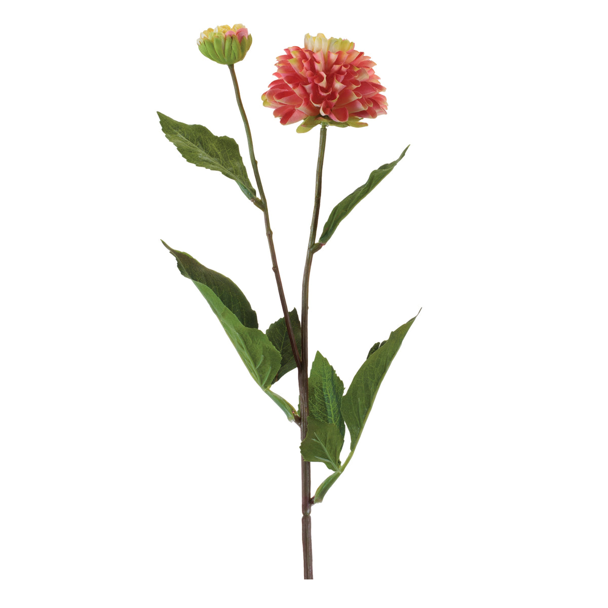 Dahlia Spray