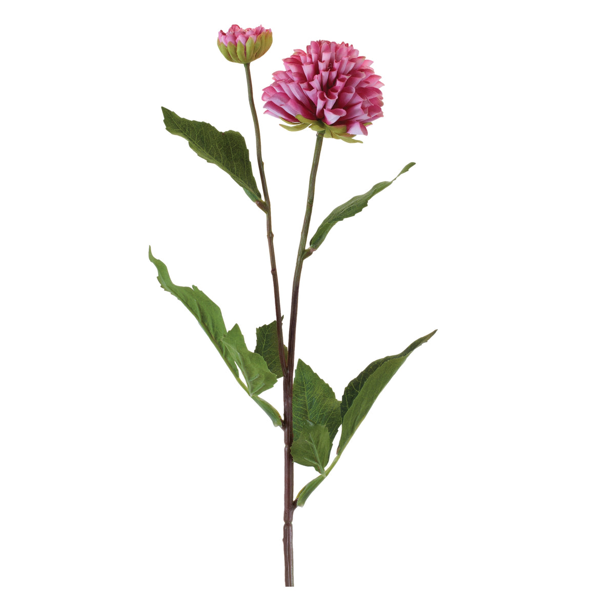 Dahlia Spray
