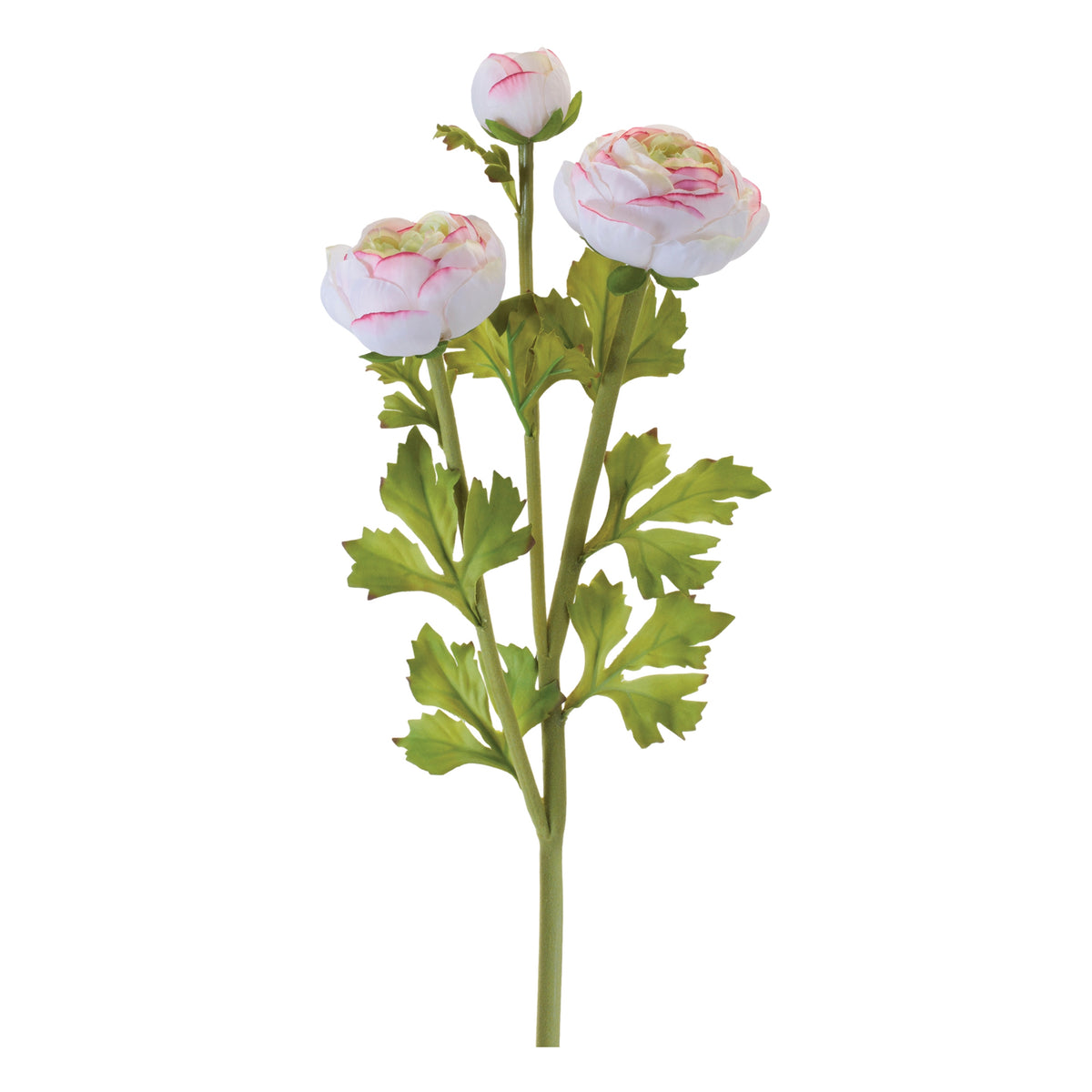 Ranunculus Spray