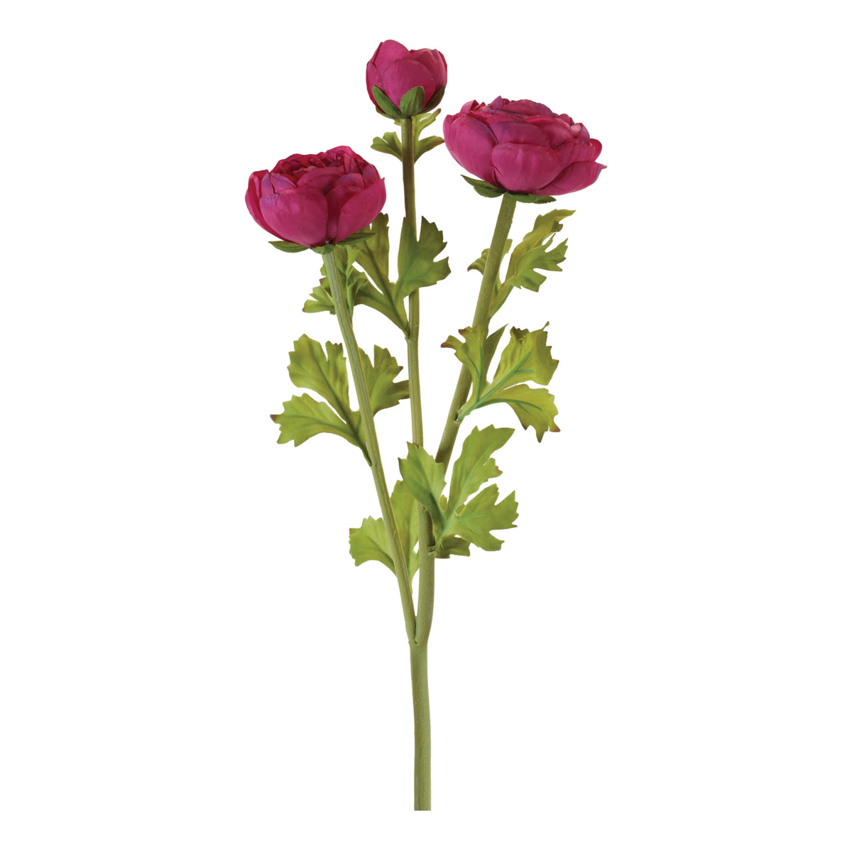 Ranunculus Spray