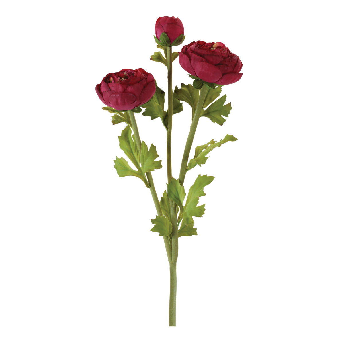 Ranunculus Spray