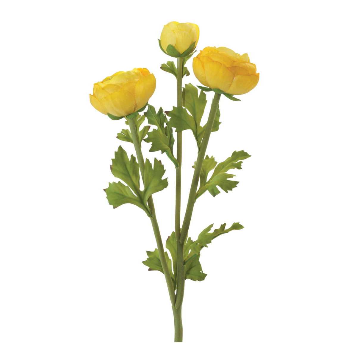 Ranunculus Spray