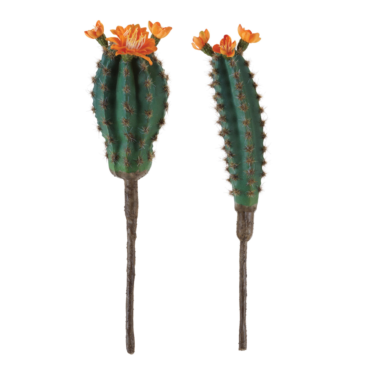Cactus (S/2)